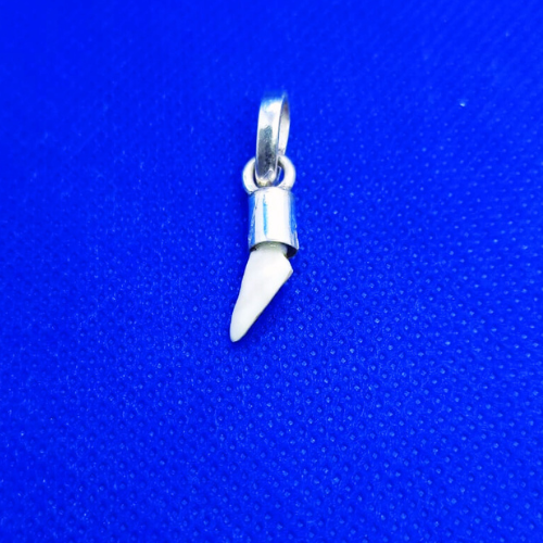 Ketu Mani Locket